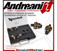 Andreani Pistoni Pompanti Compressione + Estensione Yamaha YZF R6 1999 99