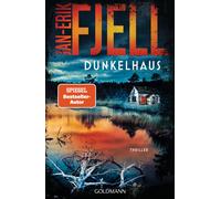 Andreas Brunstermann Jan-E Dunkelhaus: Thriller (Anton-Brekke-Reihe (Tascabile)