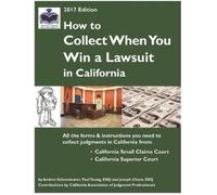 Andres Schonviesner Paul Youn How to Collect When You Win a Lawsuit (Tascabile)