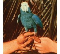 Andrew Bird Are You Serious (CD) Album