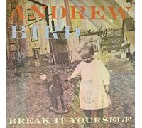 Andrew Bird - Break It Yourself