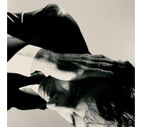 Andrew Bird - Inside Problems