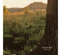 Andrew Bird Noble Beast (CD)