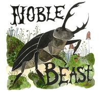 Andrew Bird – Noble Beast / Useless Creatures – 2 CD