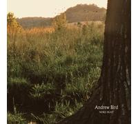 Andrew Bird Noble Beast (Vinyl LP)