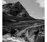 Andrew Bird Outside Problems (Vinyl LP) 12" Album