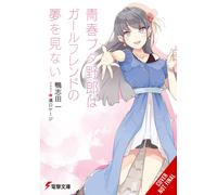 RASCAL DOES NOT DREAM OF GIRLFRIEND LIGHT NOVEL