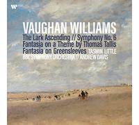 Ralph Vaughan W Vaughan Williams: The Lark Ascending/Symphony No. 6/F (Vinyl LP)