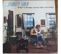 Andrew Gold - What's wrong with this picture (1976/77) / Vinyl record [Vinyl-LP]