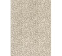 Andrew Martin Carta da parati Moss - Plaster