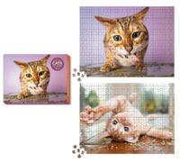 Andrew Marttila Cats on Catnip 2-in-1 Double-Sided 1,000-P (Mixed Media Product)