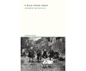 Andrew McNeillie A Wild Goose Chase (Tascabile)