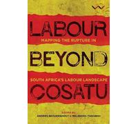 Andries Bezuidenhout Labour Beyond Cosatu (Tascabile)