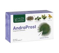Androprost 60 Capsule