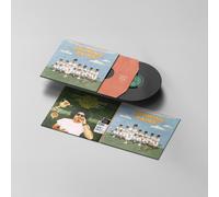 Andy Frasco & The U.N. Growing Pains (Vinyl LP)