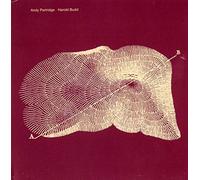 Andy Partridge & Harold Budd - Through the Hill