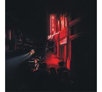 Andy Shauf The Neon Skyline (Vinyl LP) 12" Album (Gatefold Cover)