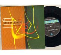 ANDY SHEPPARD - ANDY SHEPPARD - BRIGHT MOMENTS - 7 inch vinyl / 45