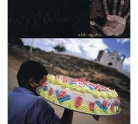 Andy Stochansky - While You Slept