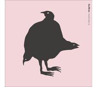 Ane Brun Rarities 2 (Vinyl LP) 12" Album
