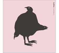 Ane Brun Rarities 2 (Vinyl LP)