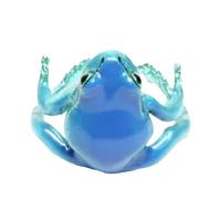 Anelli a forma di rana, anelli stravaganti, aperti e regolabili, divertenti e strani a tema natura, gioielli per adulti, bambini, donne, ragazze, amanti degli animali, Refer to description, metallo e