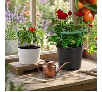 Anelli di supporto per piante con clip, paletti da giardino semicerchio per fiori, verdure, viti, divisorio salvaspazio, verde, 4 set (piccolo)