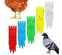 Anelli per Zampe Pollame Anello identificativo numerato multicolore per | Fascette identificative numerate da di pollo Adatte a Fattoria Domestica, Cortile, Branco, Oche, Galli, Tacc