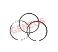 Anelli pistone Perkins KD 103-10 103.10 STD