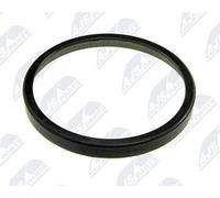 ANELLO ABS MAGNETICO POSTERIORE PER PEUGEOT 207 2006-, 307 00-, 308 07-, 407 ...