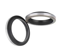 Anello antipolvere in metallo GA - Guarnizione in gomma nitrilica for applicazioni idrauliche, diametro interno 14 mm-20 mm, 1 pezzo(15x25x7/10)