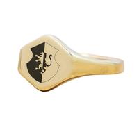 Anello con segno zodiacale del leone a forma esagonale | Argento sterling 925 placcato oro | Gioielli da regalo, anelli con sigillo in stile vintage, gioielli fatti a mano| LK_PDR_00915_11