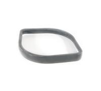 Anello di protezione per lavabicchieri Delfin, TS 3100 e TS 2100