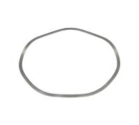 Anello di sicurezza ZF 0501325499