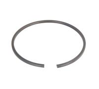 Anello di sicurezza ZF 0730513398ZF