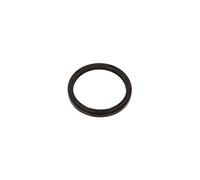 Anello di tenuta 33 X 39 X 04