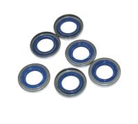 Anello di tenuta adatto for 2165 2171 CS2147 CS2152 CS2153 CS2163 CS2165 CS2166 CS2171 CS2172 540 K540 P500 P540 P5000 P5500