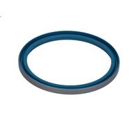 Anello di tenuta ANAC MAKINA 813-00427-AN