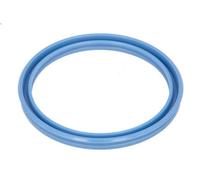 Anello di tenuta DANA SPICER 263.06.017.02