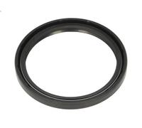 Anello di tenuta, fuso a snodo PETERS 011.446-00A