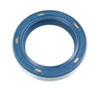 Anello di tenuta lyo 25 X 35 X 07 (doppio labbro)