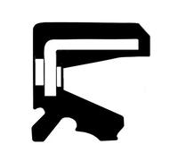 Anello di tenuta mozzo NBR (Nitrile-Butadiene-Caucciù) 19016497B CORTECO