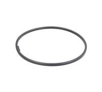 Anello di tenuta, mozzo ruota ELRING 596.672