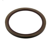 Anello di tenuta, mozzo ruota (riduttore epicicloidale) FEBI per NL 6.871 1996-