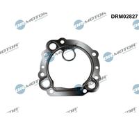 Anello di tenuta, radiatore EGR per FORD RANGER TRANSIT TRANSIT CUSTOM