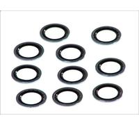 Anello di tenuta SANTECH MT0395