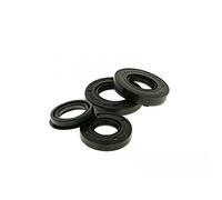 Anello di tenuta Satz motore Naraku - TNG ls49 50 2T