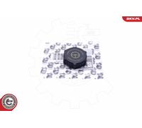 Anello di tenuta, tappo di chiusura, servopompa per FORD FOCUS TRANSIT CONNECT