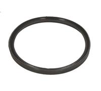 Anello di tenuta, tubo aria di sovralimentazione THERMOTEC DCB086TT 3 2 2007-201