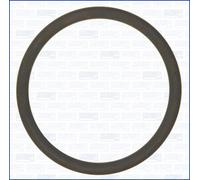 Anello di tenuta, tubo aspirazione alloggiamento filtro aria AJUSA 16105800